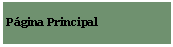 Textfeld: Pgina Principal