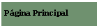 Textfeld: Pgina Principal